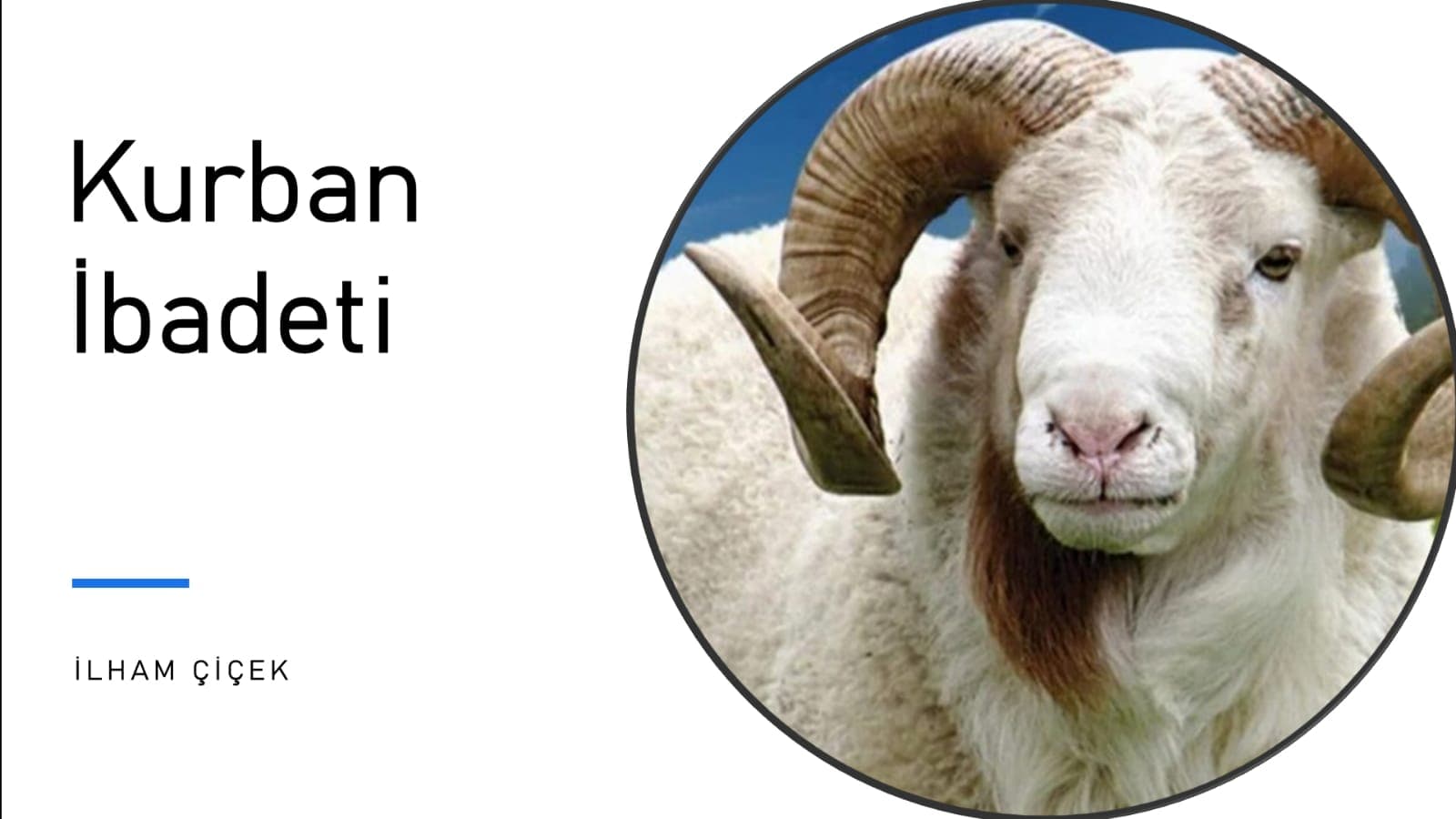 Kurban İbadeti